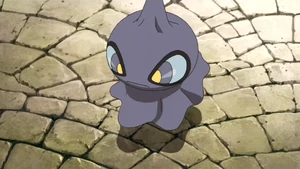 Kodai's Shuppet.