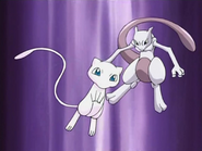 Mew and Mewtwo in Johto Journeys opening