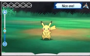 Poke Finder 3.png (221 KB) Get a snap of Pikachu.