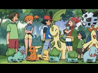 The Right Place and the Right Mime Pokemon Wiki Fandom