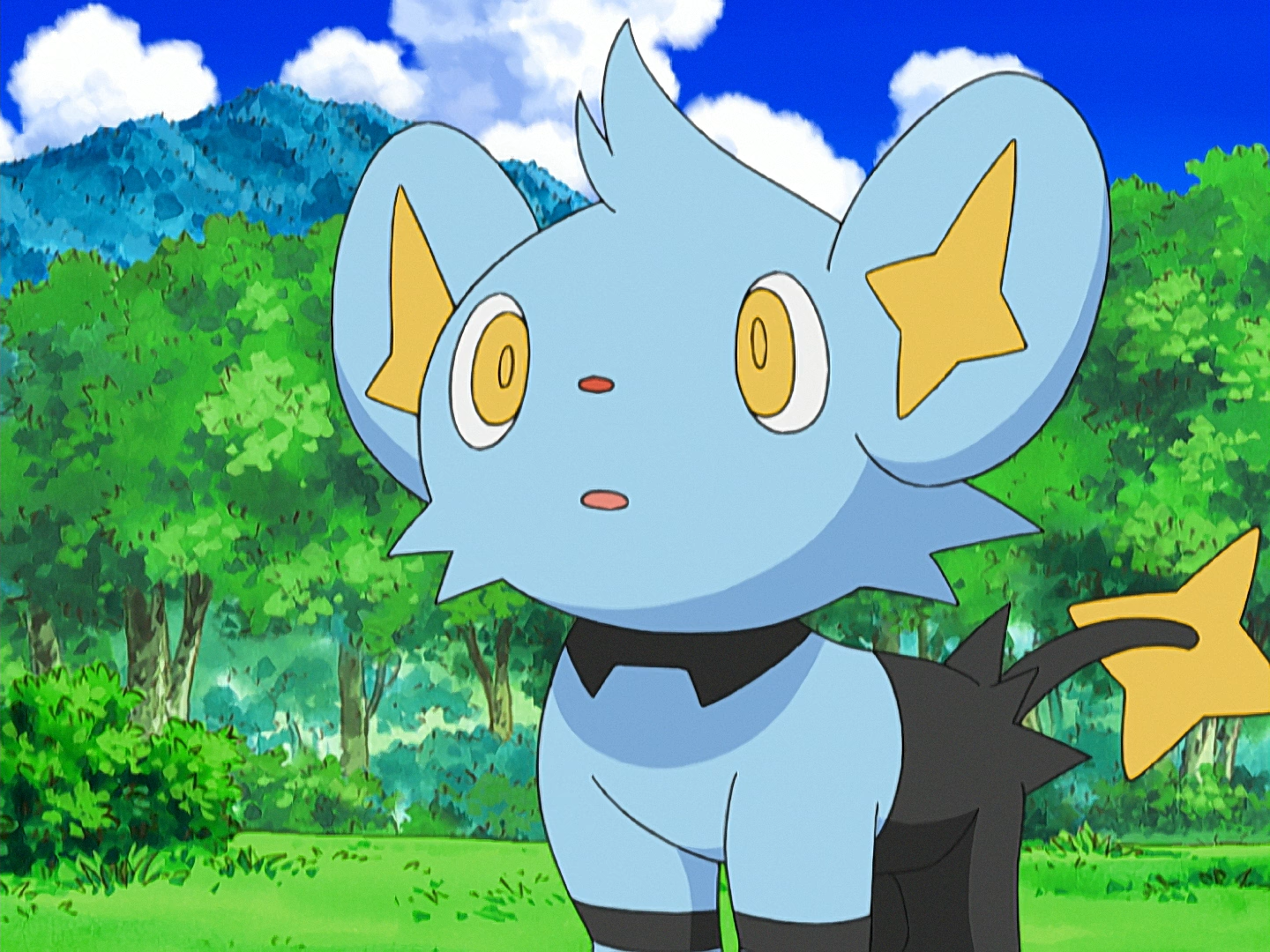 Shinx - Pokémon - Zerochan Anime Image Board