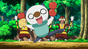 Oshawott harvested the apples for Emolga, angering Watchog