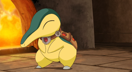 Damos Cyndaquil