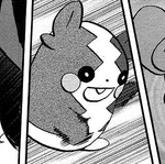 Marnie sometimes lets her Morpeko out to wander a bit.