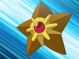 Misty's Staryu (anime)