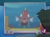 Adam finds a Magikarp submarine attacking them