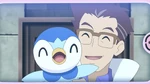 Professor Cerise was raising Pokémon Eggs and they all hatch into Piplup