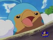 Swablu fell in the mud