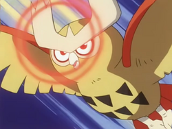 Pokemon Explained: Ash's Shiny Noctowl