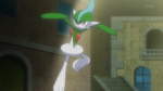 Carl owned a Gallade, who was to act in his show. However, Gallade hurt his leg and couldn't act.