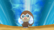 Used by Dawn's Mamoswine.