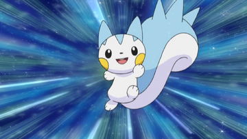 Dawn's Pachirisu, Pokémon Wiki