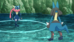 Aryxa on X: A Mega Lucario, shiny Greninja, and Krookodile request! It can  expand the focus of its eyes to see objects off in the far distance as  confirmation of the auras