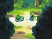 Oddish reports an attack