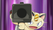 Meowth releases the net