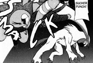 Used by Koya's Absol.