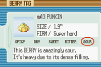 RS - Pumkin Berry Tag