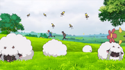 Wooloo anime