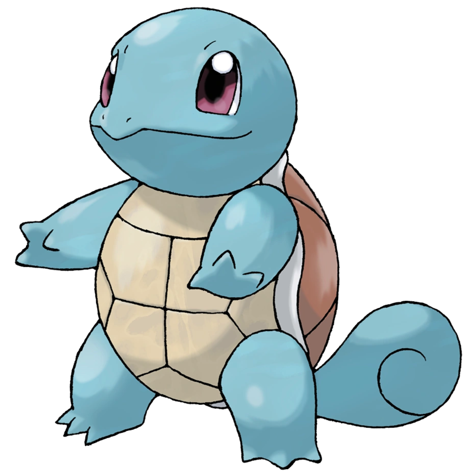 Squirtle | Pokémon Wiki | Fandom
