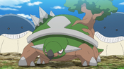 Ash's Torterra