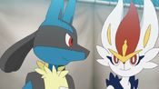 Goh Cinderace and Ash Lucario