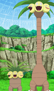 Goh's Kantonian and Alolan Exeggutor.