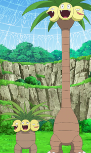 Goh Kantonian and Alolan Exeggutor