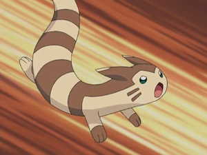 Julie's Furret.
