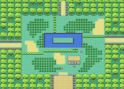 Pokemon-Fl-Safarizon-Centerarea