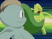 Treecko pounds Machop