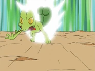 Quick Attack being used by Ash's Treecko.