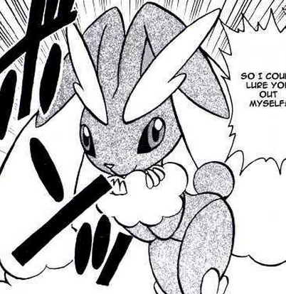 Mako S Lopunny Pokemon Wiki Fandom Mako S Lopunny Pokemon Wiki Fandom