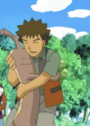 Brock and Sudowoodo