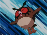 Hoothoot is Falkner's Pokémon that relies on pecking the opponents before finishing them.