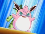 Wigglytuff's first and so far its only appearance was in Thinning the Hoard, where it was used in the Kanto Grand Festival. Unlike most Wigglytuff, Harley's Wigglytuff was notably more dark and aggressive.