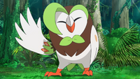 Hau Dartrix