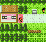 Route 31 - Gate to Violet City