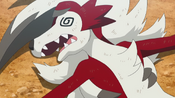 Lycanroc fainted from the blast