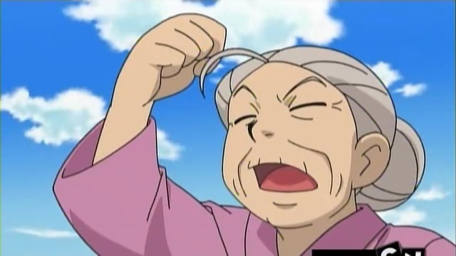 Grandma Wilma (anime) | Pokémon Wiki | Fandom