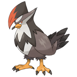 0398Staraptor