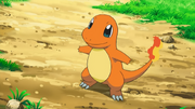 800px-Ash Charmander