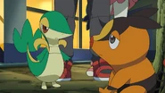 Snivy and Tepig