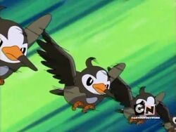 PearlShipping - SatoHika (Ash and Dawn) - DP003 - When Pokémon Worlds  Collide! Ash and Dawn are running through the beginning of the Sinnoh  region to meet! Dawn meets Team Rocket instead