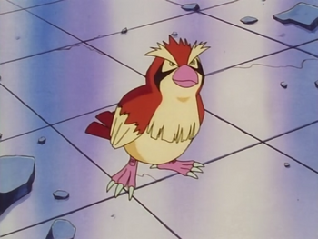 Nurse Joy Pidgey