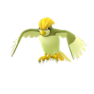 Pidgeotto GO Shiny