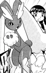 Lopunny was caught on her way to Lake Acuity. It is not used often in battles, but was powerful enough to defeat Candice's Abomasnow in a gym battle.