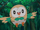 Ash's Rowlet