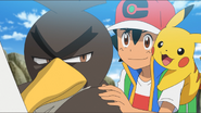 Farfetch'd having a sparring match with Riolu.