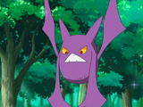 Brock's Crobat