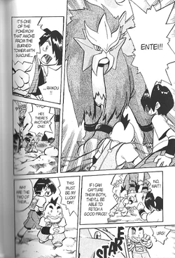 Cr021 Really Raikou Entirely Entei I Pokemon Wiki Fandom